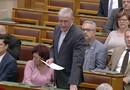 Gyurcsány Ferenc bement, rendet tett és eloszlatta a narancs ködöt a parlamentben