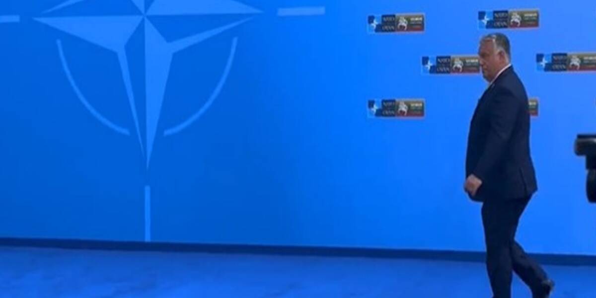 A szőrét hullató rossz vidéki róka sunnyogva elsompolyog a kérdések elől.