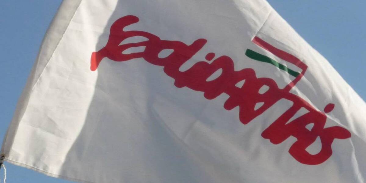 Szolidaritás Mozgalom