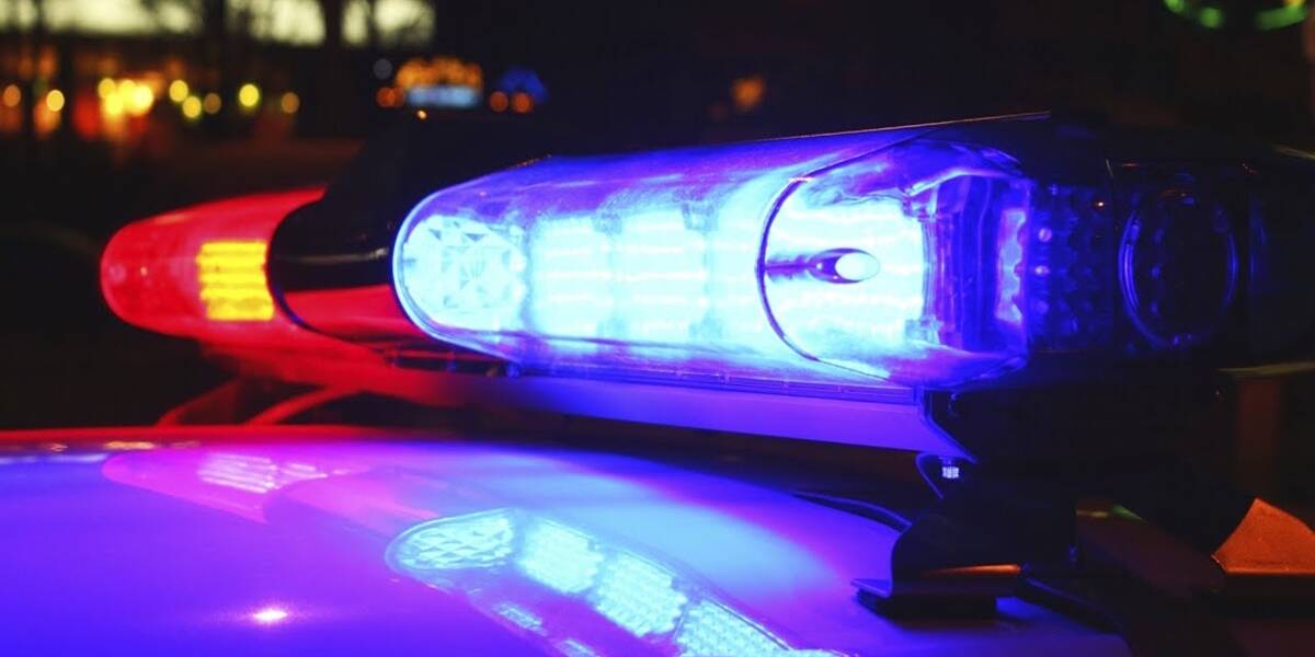 Vagyon elleni bűncselekmények miatt nyomozott a rendőrség Felcsúton