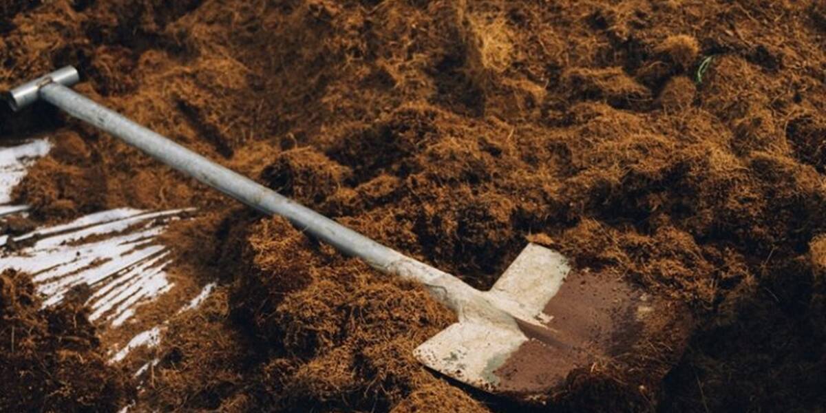 Tükröt mutat a magyar jelennek: sírásóként dolgozik a pályáját elhagyó fizika-matek szakos tanár