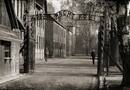 Libabőr! Csak a falba vésett nevük maradt utánuk Auschwitzban