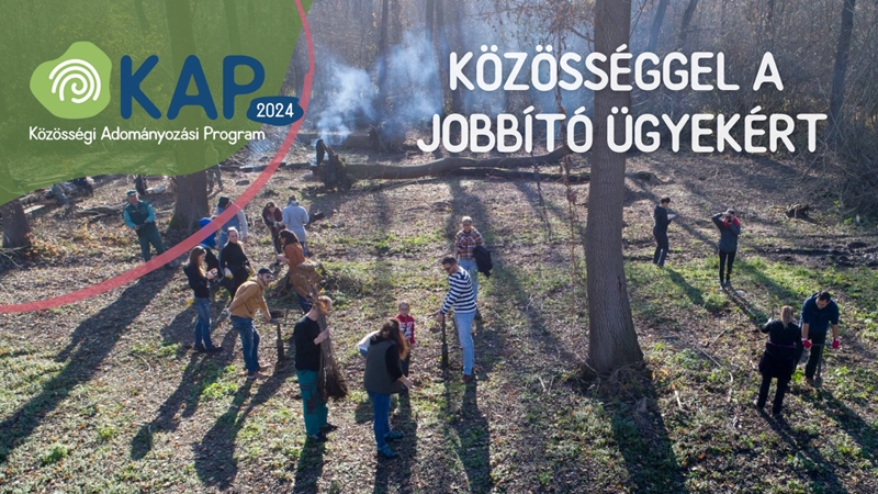 12 világjobbító ötlet versenyez a MagNet Bank 108 millió forintjáért