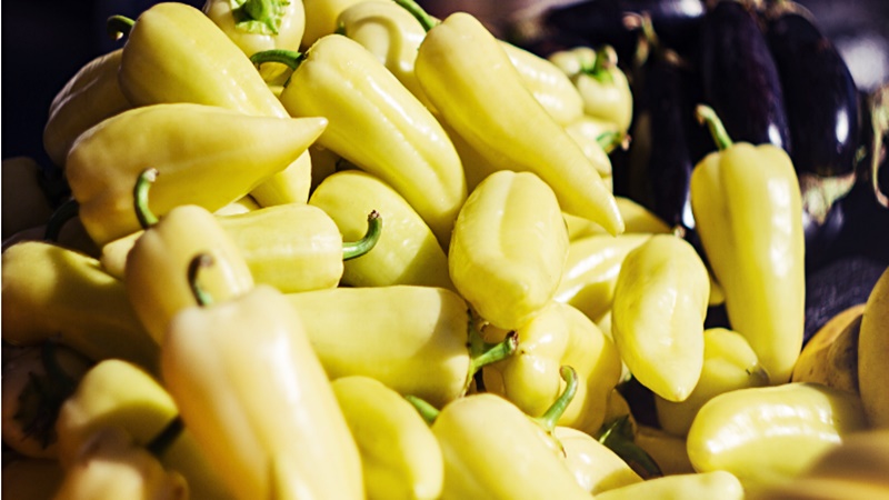 Rossz híreket kaptunk a magyar paprikáról