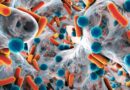 Aggasztó felfedezés az antibiotikumokról: Sürgősen új fejlesztésekre van szükség