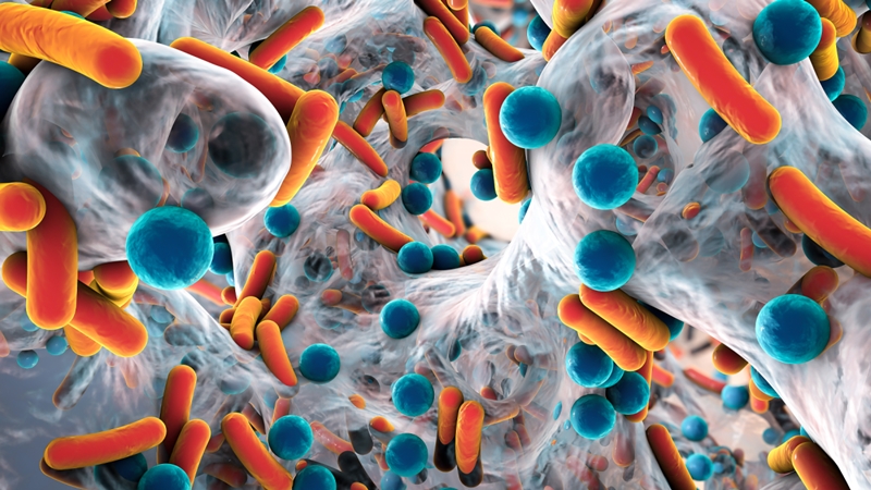 Aggasztó felfedezés az antibiotikumokról: Sürgősen új fejlesztésekre van szükség