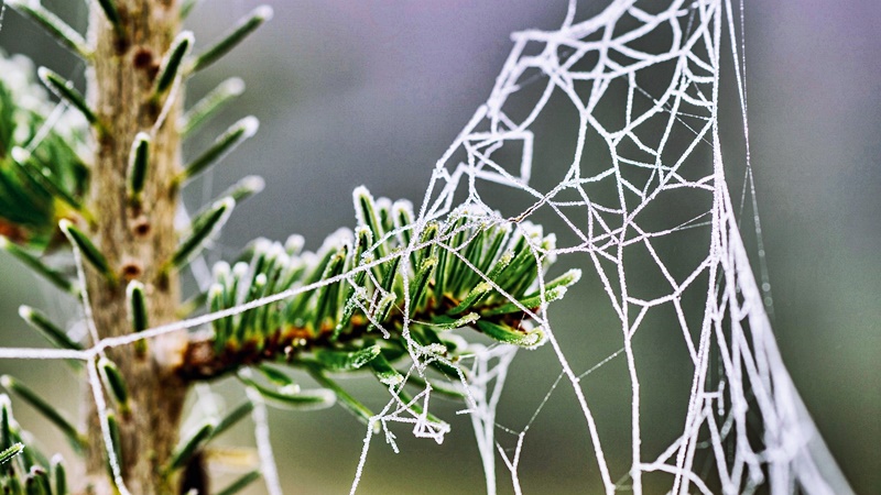 Időjárás: 9 megyére riasztást adtak ki