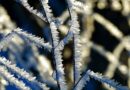 -27 fokos hideg: A meteorológusok is alig hiszik el, most kaptuk az előrejelzést