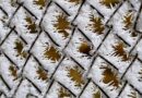 Rettenetes: -15 fokos hideg érkezik jövőhéten,mutatjuk mire készüljön