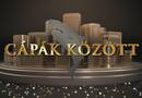 Cápák között: a növényvédő szer és a mate tea vállalkozója is befektetőre talált