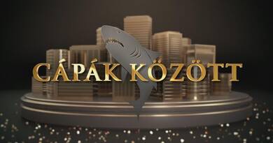Ilyen még nem volt a Cápák közöttben, versenyt úsztak ezért az üzletért