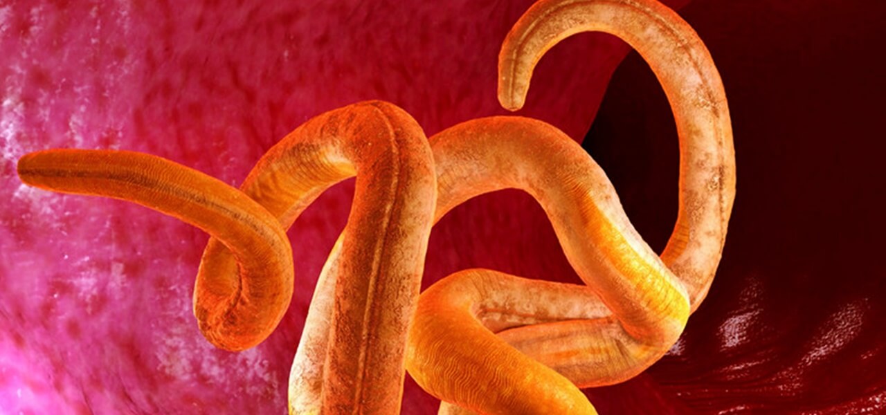 virus