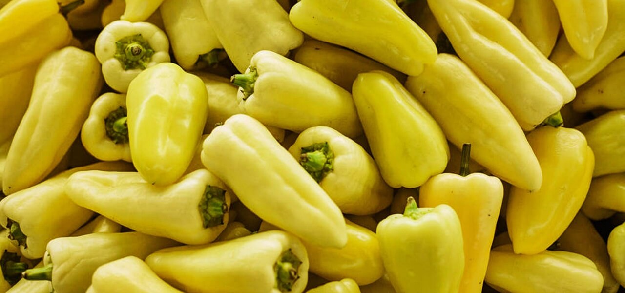 Ha ezt teszed a paprika bokorral, nyár végéig 3-szor annyi termést hoz majd!