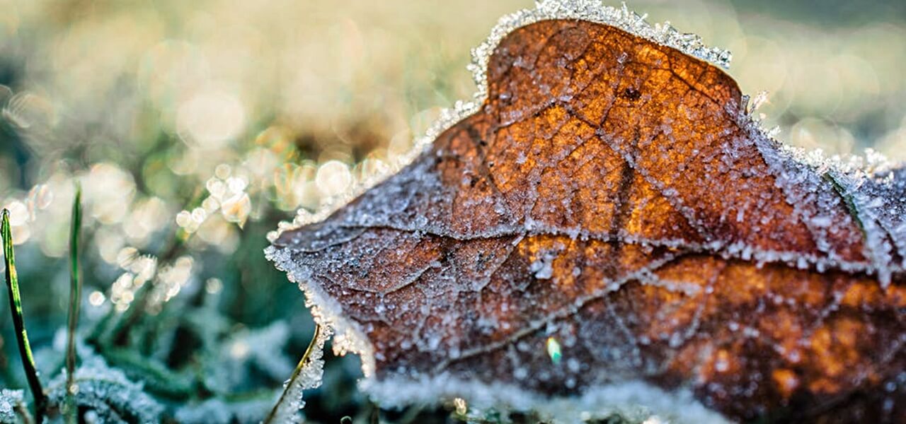 Hatalmas hideg tart felénk – Megérkeztek a vészjósló jelek