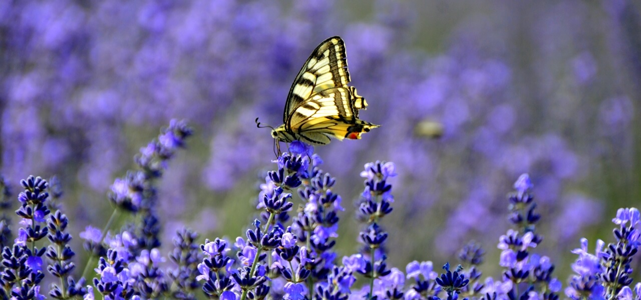 Senki sem számított rá: brutális fordulat jön az időjárásban szerdán!