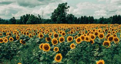 Brutális fordulat jön csütörtökön: meglepetést tartogat az időjárás