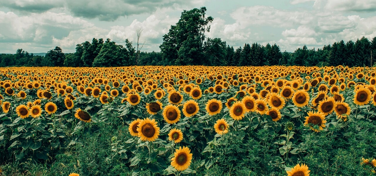 Brutális fordulat jön csütörtökön: meglepetést tartogat az időjárás