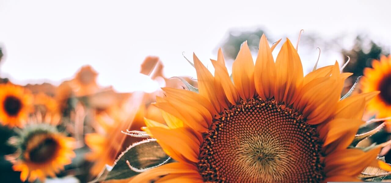 Furcsa időjárás jön csütörtökön - itt a részletes előrejelzés