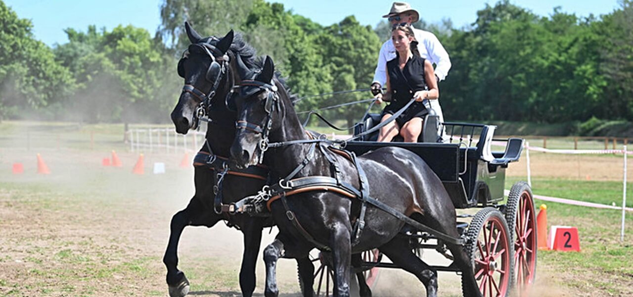 Kettesfogathajtó-vb - A magyar csapat folytatná a 2013 óta tartó sikersorozatot