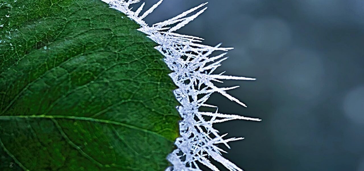 Bekeményít az időjárás: 5 fok alá csökken a hőmérséklet!