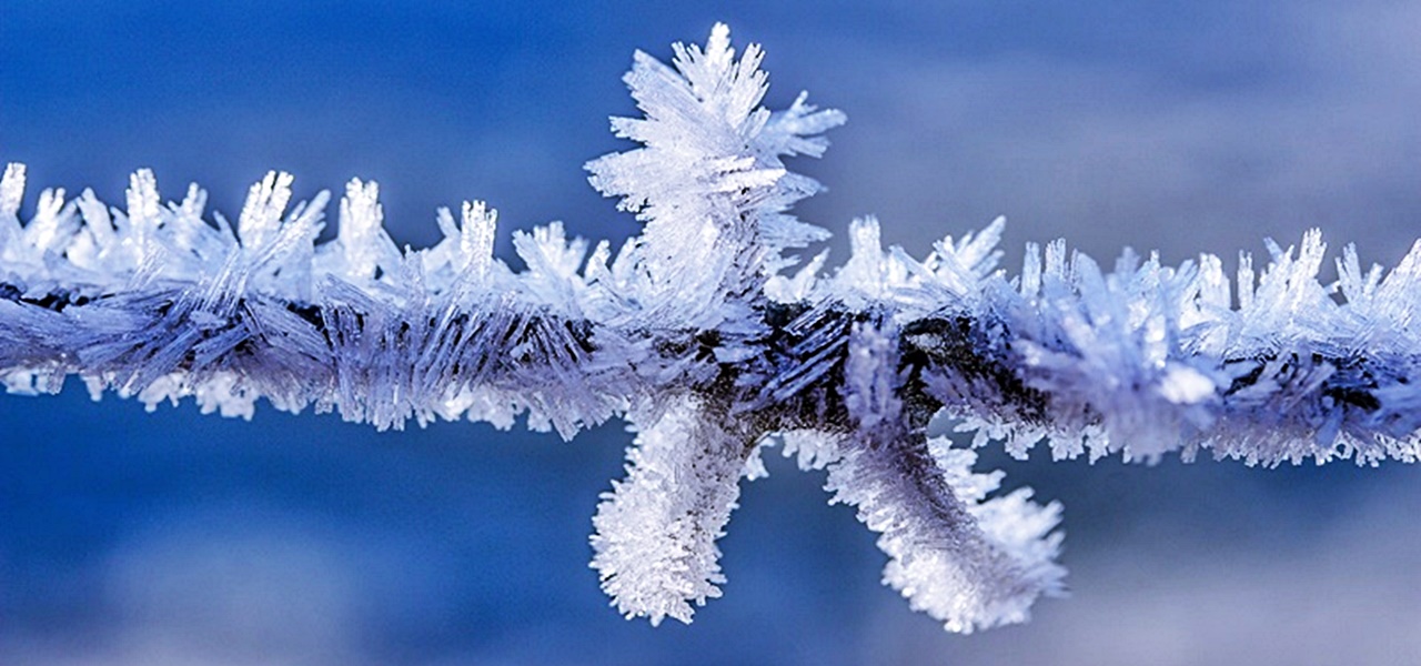 Megérkezett a havazás! Fehérbe borult a táj, több centis hó takar mindent