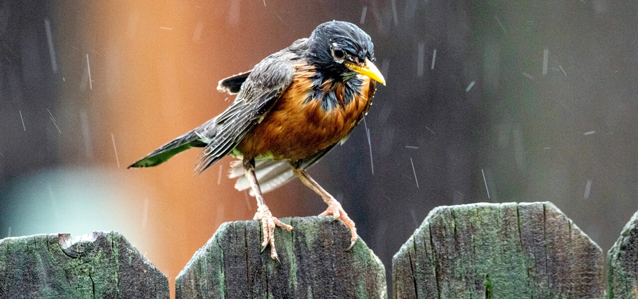 Akár fagy is lehet hajnalban! Megérkezett az ősz igazi arca, így változik az időjárás napról napra!