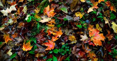 Sokkoló fordulat: ilyen szeszélyes időjárás rég volt Magyarországon!