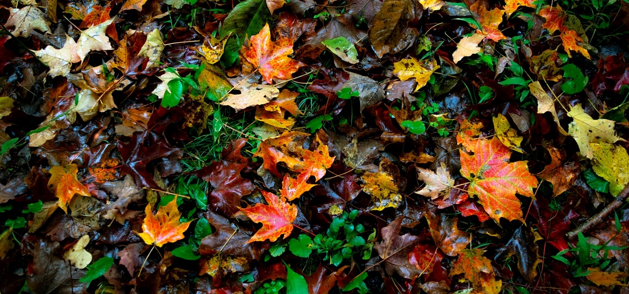 Sokkoló fordulat: ilyen szeszélyes időjárás rég volt Magyarországon!