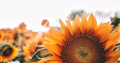 Nem mindenhol lesz felhőtlen a hétvége - mutatjuk, hova csap le a vihar!