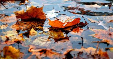 Szeles és esős nap jön Magyarországon: itt az országos előrejelzés, amit mindenki látni akar!