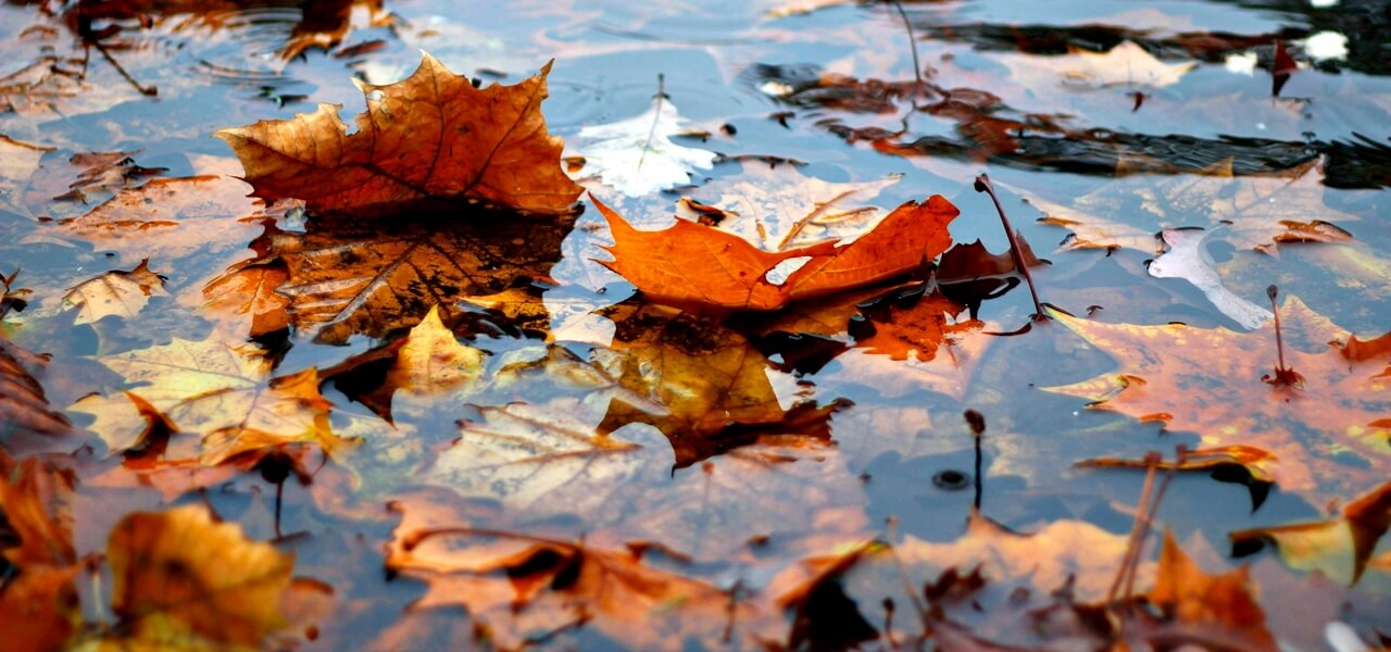 Szeles és esős nap jön Magyarországon: itt az országos előrejelzés, amit mindenki látni akar!