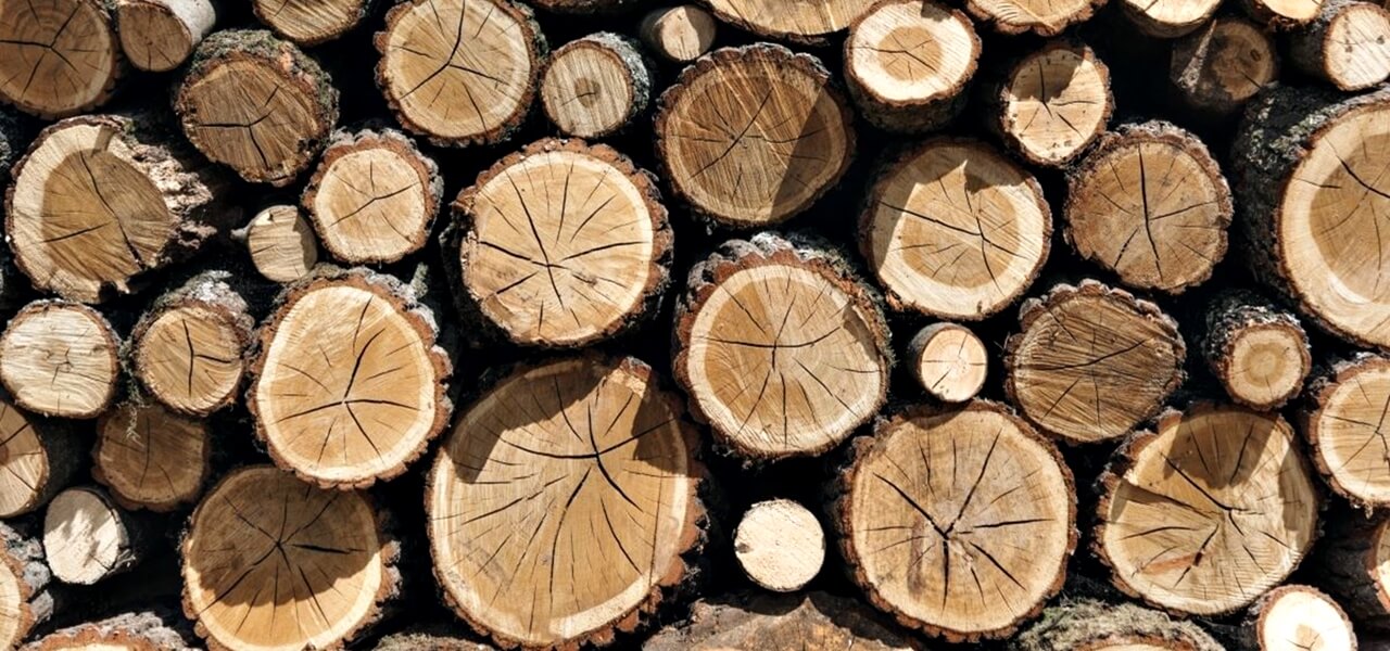 Elképesztő, mit ért el ez az alapítvány 30 év alatt – a faipar jövője itt születik!