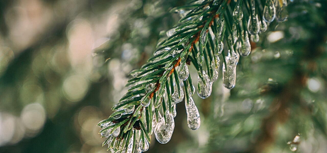 Sarkvidéki hideg, 20 cm-es havazás: megérkezett az előrejelzés, jobb, ha felkészülsz