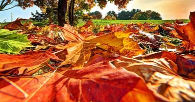 Meglepő, miért szeretjük ennyire az őszt – a kutatók szerint nem véletlen