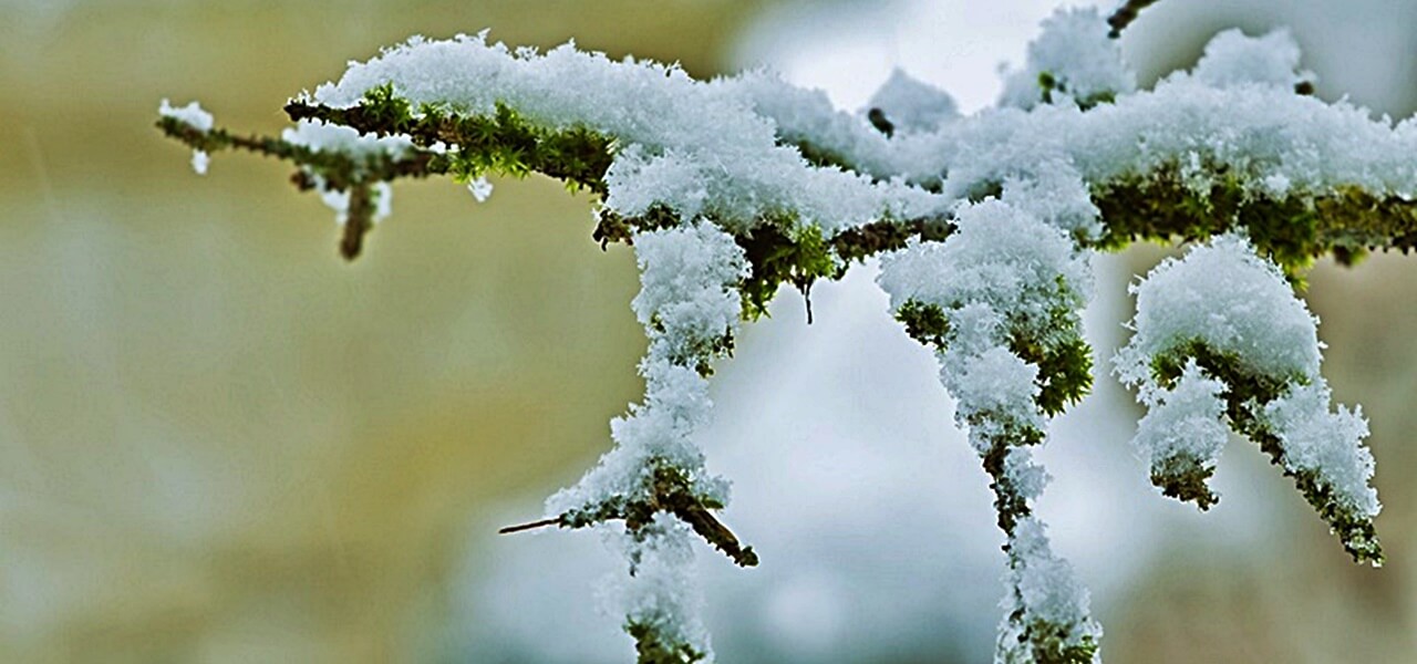 Megérkezett a havazás! Közel 20 cm-es hó borít mindent, járhatatlanok az utak