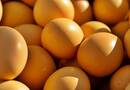 Nagyon jó hír érkezett a tojásról: ennek nagyon sokan örülni fognak