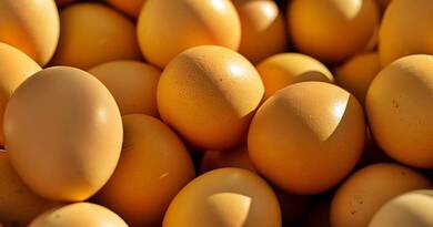 Nagyon jó hír érkezett a tojásról: ennek nagyon sokan örülni fognak