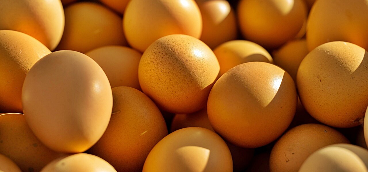 Nagyon jó hír érkezett a tojásról: ennek nagyon sokan örülni fognak