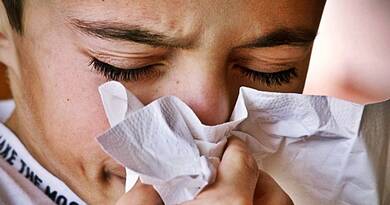 Enyhíti a lázat, gyógyítja a tüdőgyulladást, a sebeket és még a cukorbetegségben is hatásos