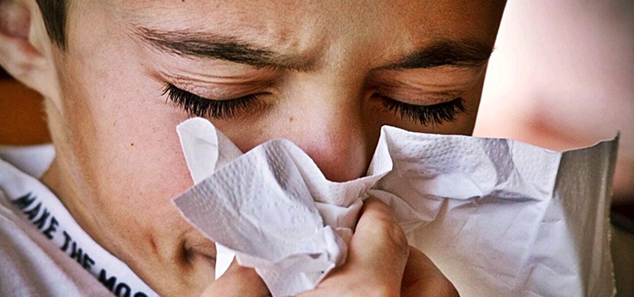 Enyhíti a lázat, gyógyítja a tüdőgyulladást, a sebeket és még a cukorbetegségben is hatásos