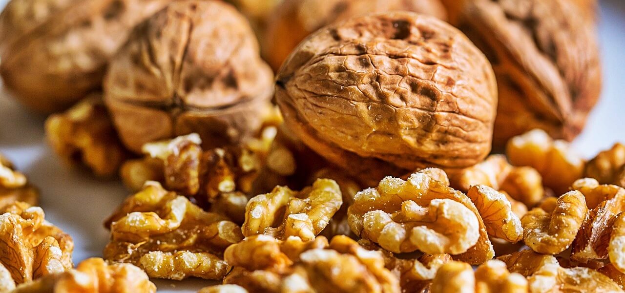 A dió: az agy tápláléka, ami aranyat ér az őszi-téli hónapokban