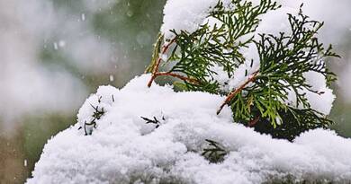 Készül a hóvihar! Szombaton az ország nagy részét vastag hótakaró boríthatja