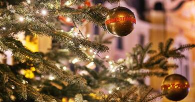 Elárulták: ez a fa lesz Magyarország karácsonyfája 2025-ben