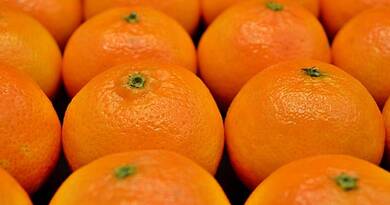 Ezért veszik sokan rosszul a mandarint: meglepő titkok derültek ki a narancsszínű tél kedvencéről