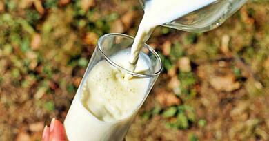 Minden tej közül ez a legjobb: az orvosok és kutatók is egyetértenek