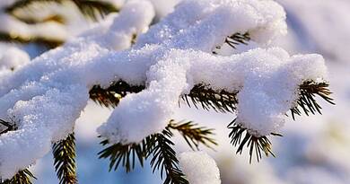 Megjött a decemberi időjárás: brutális tél áll előttünk, 20 éve nem láttunk ilyet Magyarországon