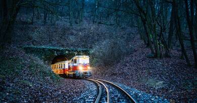 Téli szünet a Gyermekvasúton: Programajánló a Budai-hegyekbe