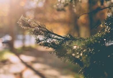 Vége a karácsonyi szürkeségnek: ragyogó napsütéssel és frissítő fagyokkal búcsúzik az ünnep