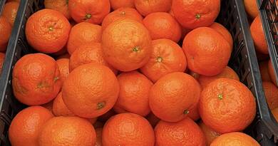 Ha ilyen mandarint látsz, nehogy megvedd! Mutatjuk, miért