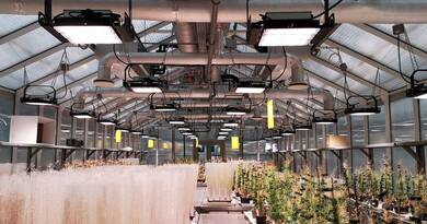 Brutális energiamegtakarítást hoz a magyar LED-rendszer – a kutatók sem hittek a szemüknek